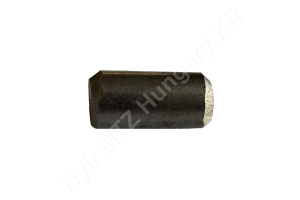 MTZ TLT véglehajtás csonk görgő 10X20 mm