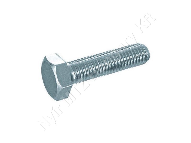 Csavar 4×20 5.8 hg