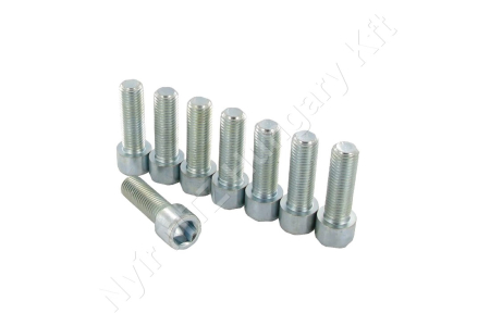 Csavarkészlet M20x80 Bernhofer_85081 Csavarkészlet M20x80 Bernhofer_85081