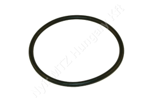 Permetező szűrő gumigyűrű 126,4×6,99 mm EPDM Arag