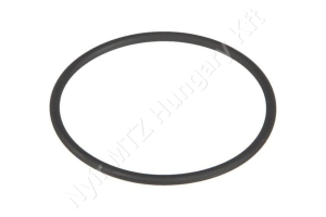 Permetező szűrő gumigyűrű 49×2,55 mm Viton TeeJet Permetező szűrő gumigyűrű 49×2,55 mm Viton TeeJet