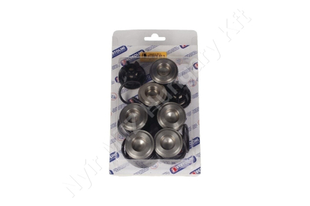 Permetező szivattyú szelepkészlet PA 330/430 A/M Bertolini_128450