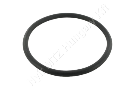 Permetező tartály gumigyűrű 120x7,5 mm NBR Arag_124917 Permetező tartály gumigyűrű 120x7,5 mm NBR Arag_124917