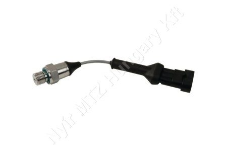 Permetező nyomásmérő érzékelő 0-50 bar 100 mm Arag Bravo 400S_126965
