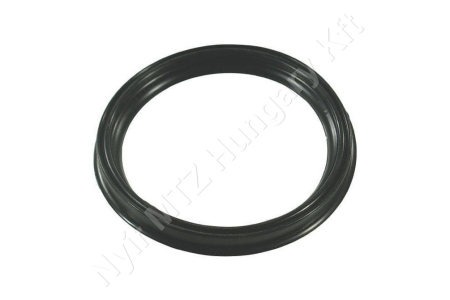 Permetező tömítőgyűrű Storz csatlakozóhoz d=38 mm 38_131201 Permetező tömítőgyűrű Storz csatlakozóhoz d=38 mm 38_131201