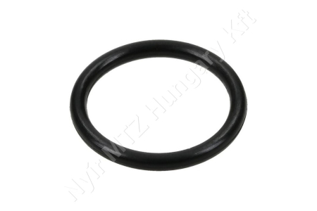 Permetező tömlőcsatlakozó gumigyűrű 25,07x2,62 mm EPDM Geoline_133070 Permetező tömlőcsatlakozó gumigyűrű 25,07x2,62 mm EPDM Geoline_133070