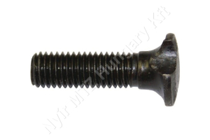 Kalapácsfejű csavar M10x38 mm