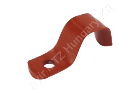 Merevítőfül Kuhn_147335 Merevítőfül Kuhn_147335
