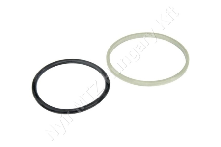 Munkahenger dugattyú tömítés 120x99x8,1 mm ZAS 54_166556 Munkahenger dugattyú tömítés 120x99x8,1 mm ZAS 54_166556